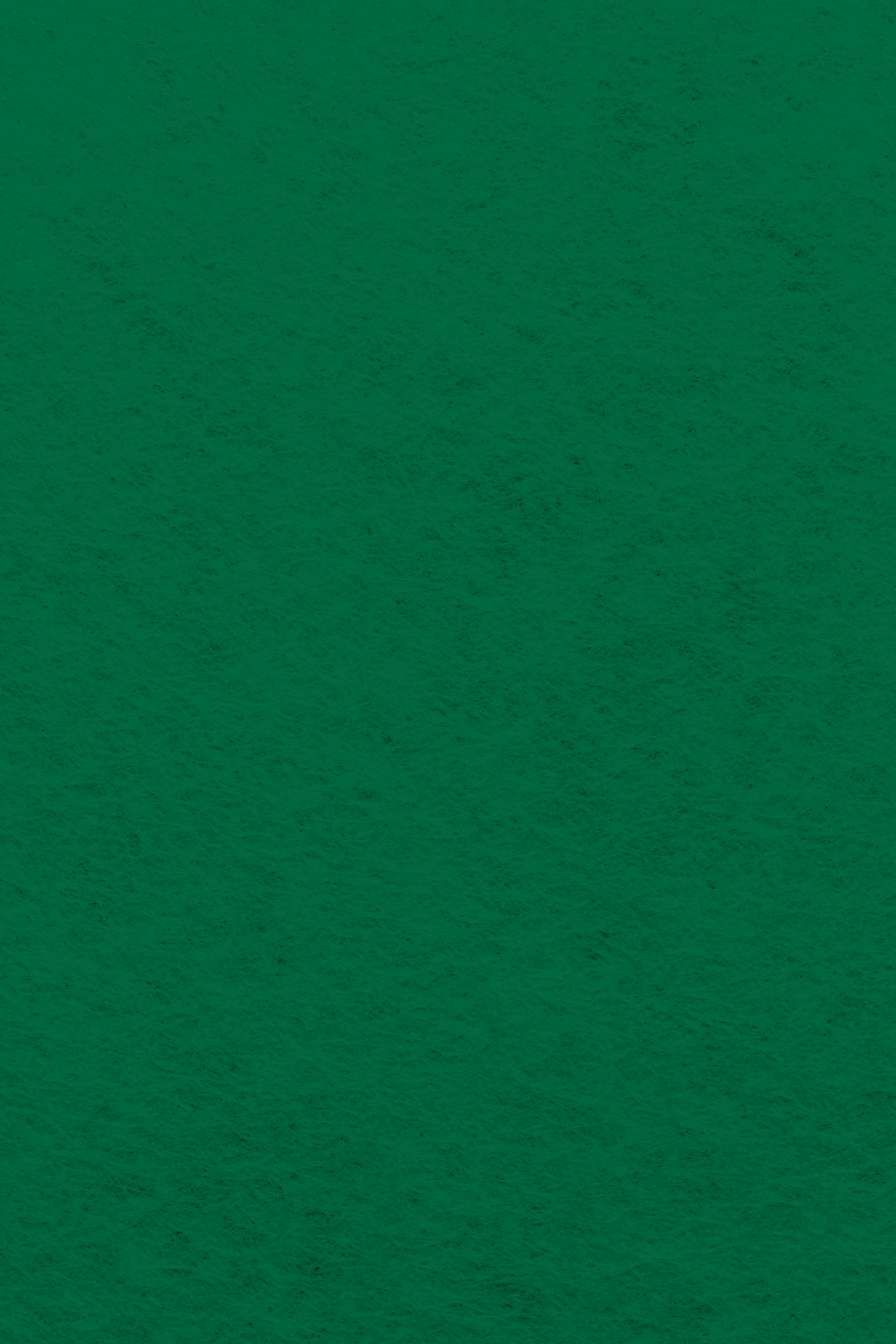 Bastelfilz Zuschnitt 1mm 20x30cm