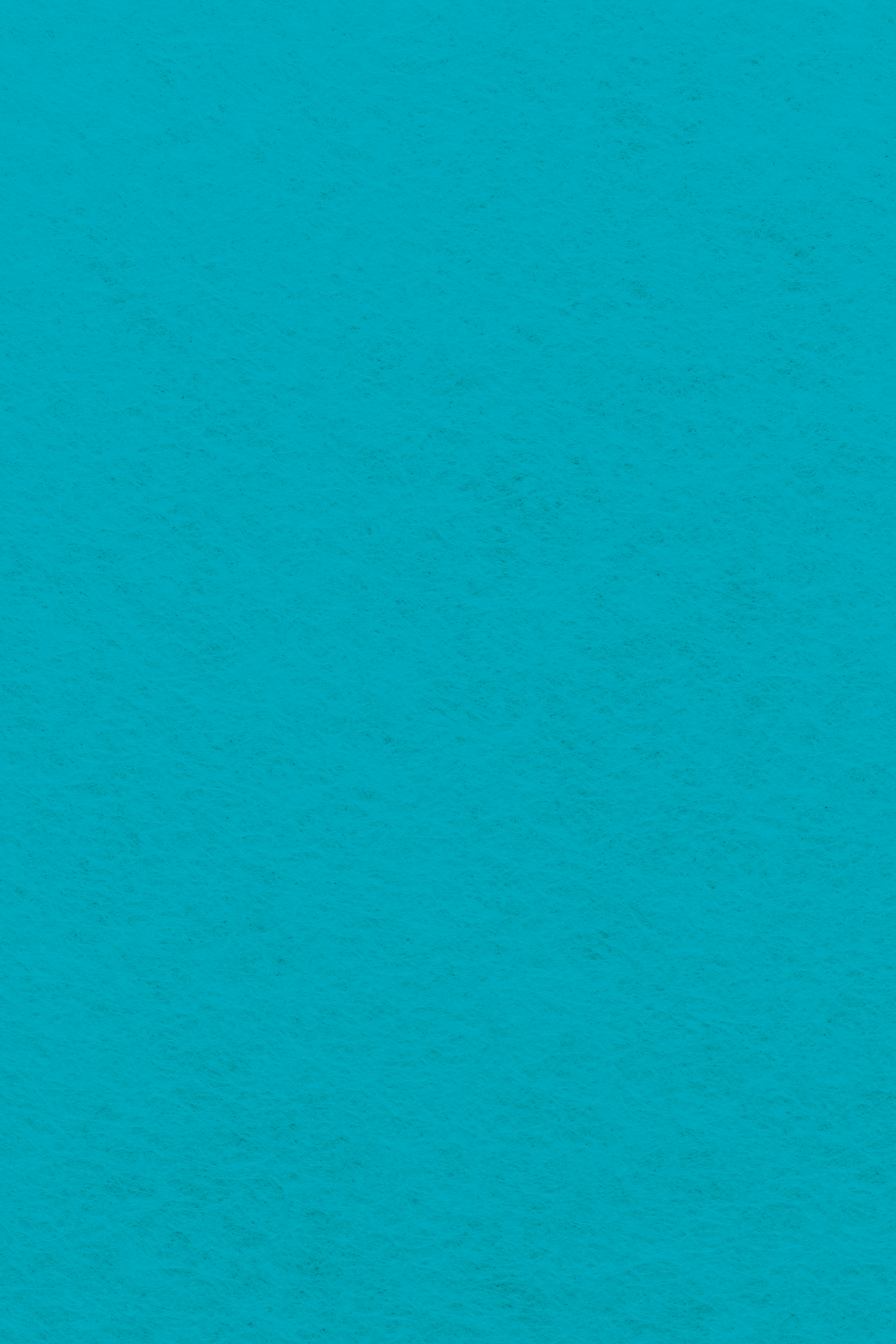 Bastelfilz Zuschnitt 1mm 20x30cm