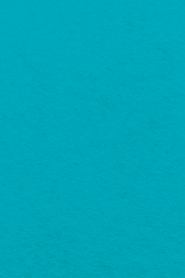 Bastelfilz Zuschnitt 1mm 20x30cm