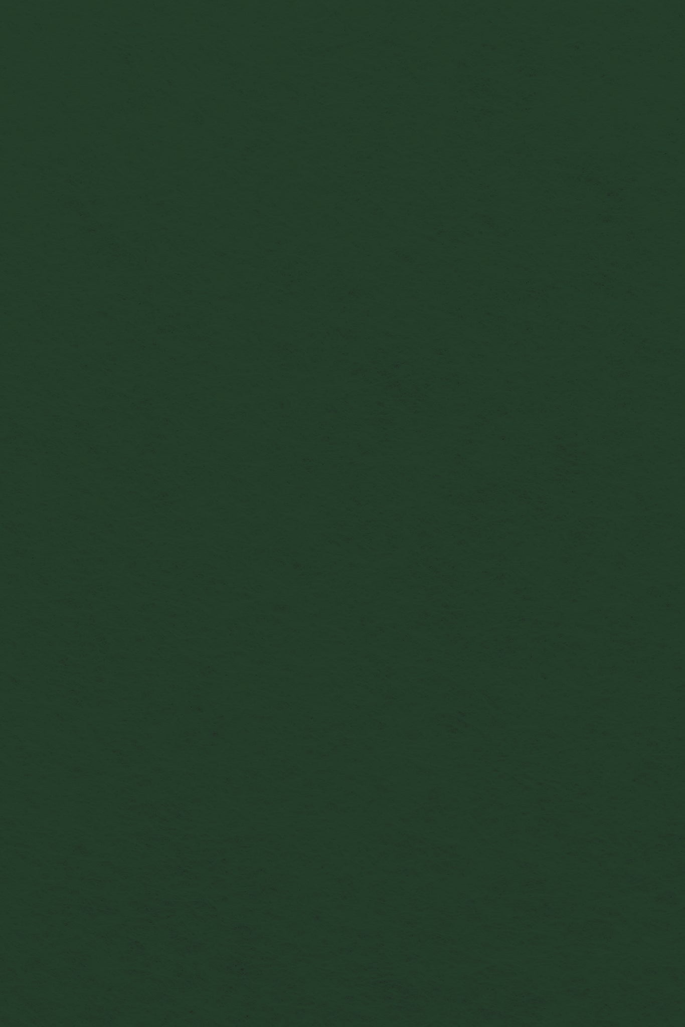 Bastelfilz Zuschnitt 1mm 20x30cm