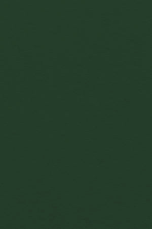 Bastelfilz Zuschnitt 1mm 20x30cm