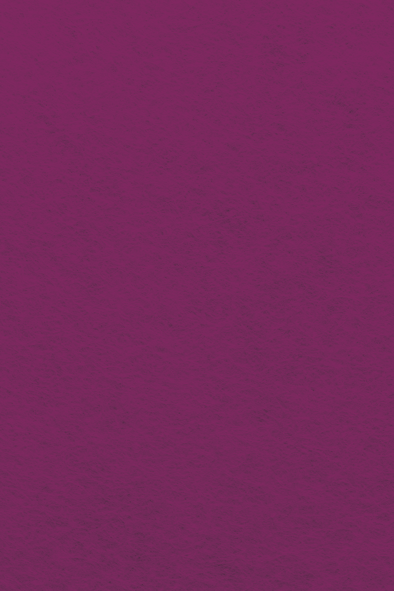 Bastelfilz Zuschnitt 1mm 20x30cm