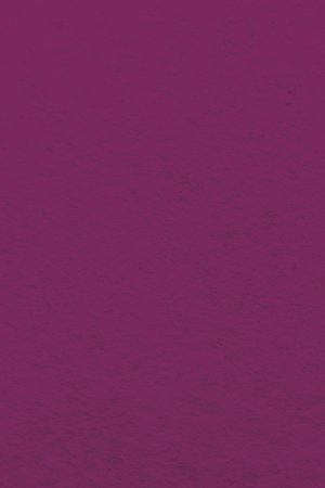 Bastelfilz Zuschnitt 1mm 20x30cm