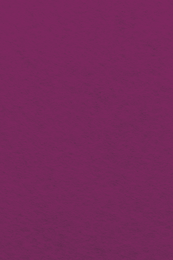 Bastelfilz Zuschnitt 1mm 20x30cm