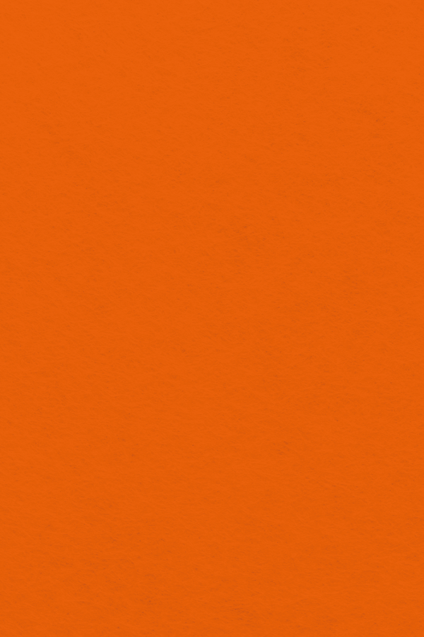 Bastel-Filzzuschnitt 20x30cm (A4) 1mm 1 Bogen