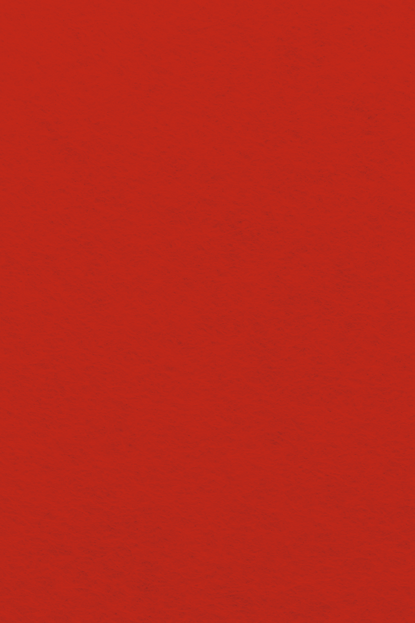 Bastel-Filzzuschnitt 20x30cm (A4) 1mm 1 Bogen