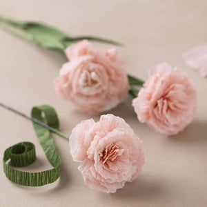 Mini Kreativ Set Krepppapier-Blumen