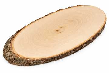 Baumscheibe oval natur Holz mit Rinde