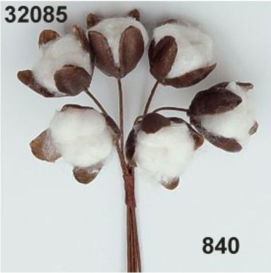 Baumwollkapsel klein braun-weiß auf Drahtstiel  ⌀ 18x16 mm 10cm 6 Stück