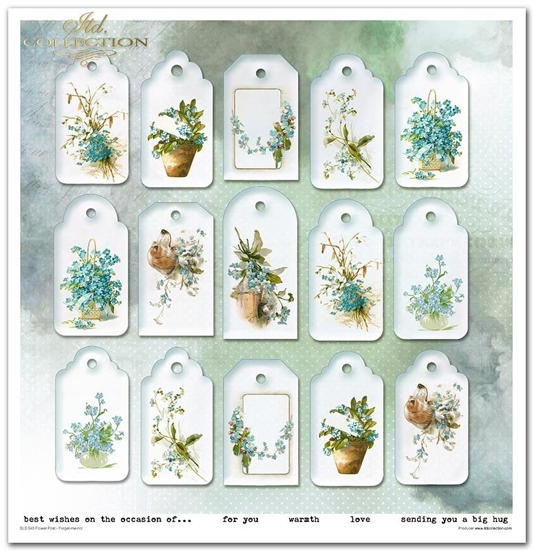 Scrapbooking-Papierset Blumenpost Vergissmeinnicht 10 Bögen 31x32cm 200g/m²