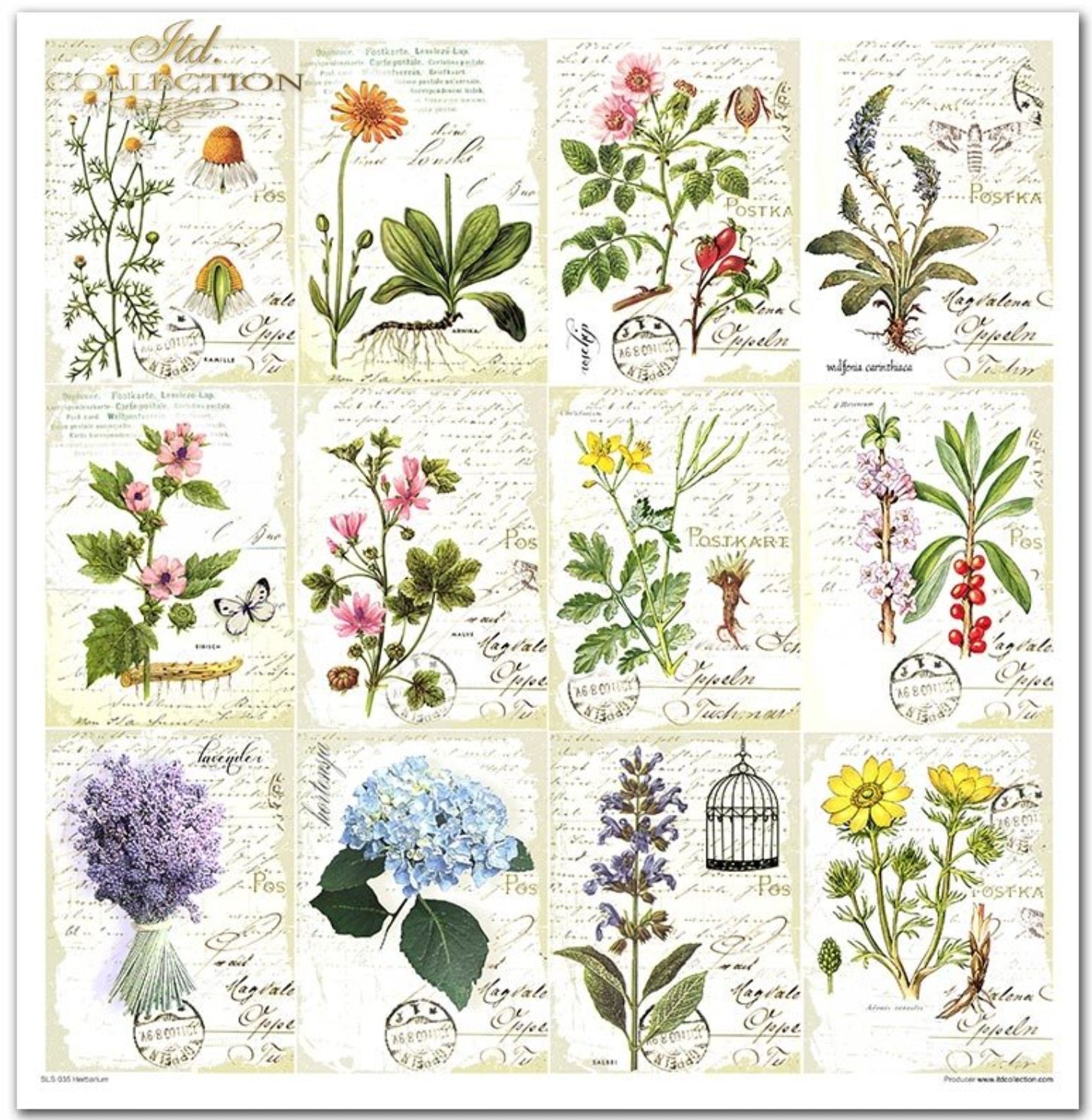 Scrapbooking-Papier-Set Herbarium 320x310mm 200g 10 Blatt