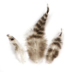 Chinchillafeder 7,5-9 cm SB-Btl. 3g