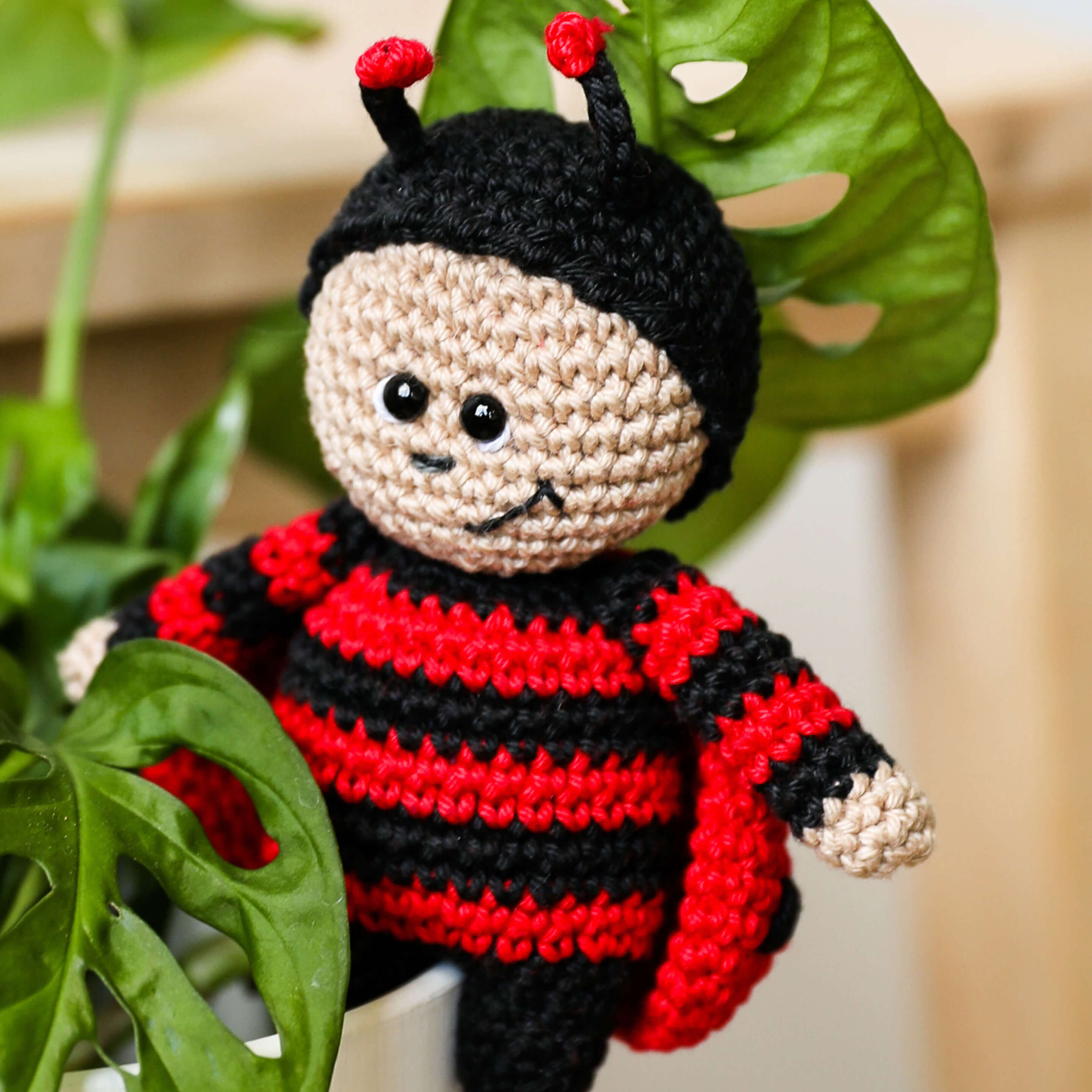 Cotton Quick Uni Baumwollgarn mercerisiert gasiert gekämmt 50g / 125m