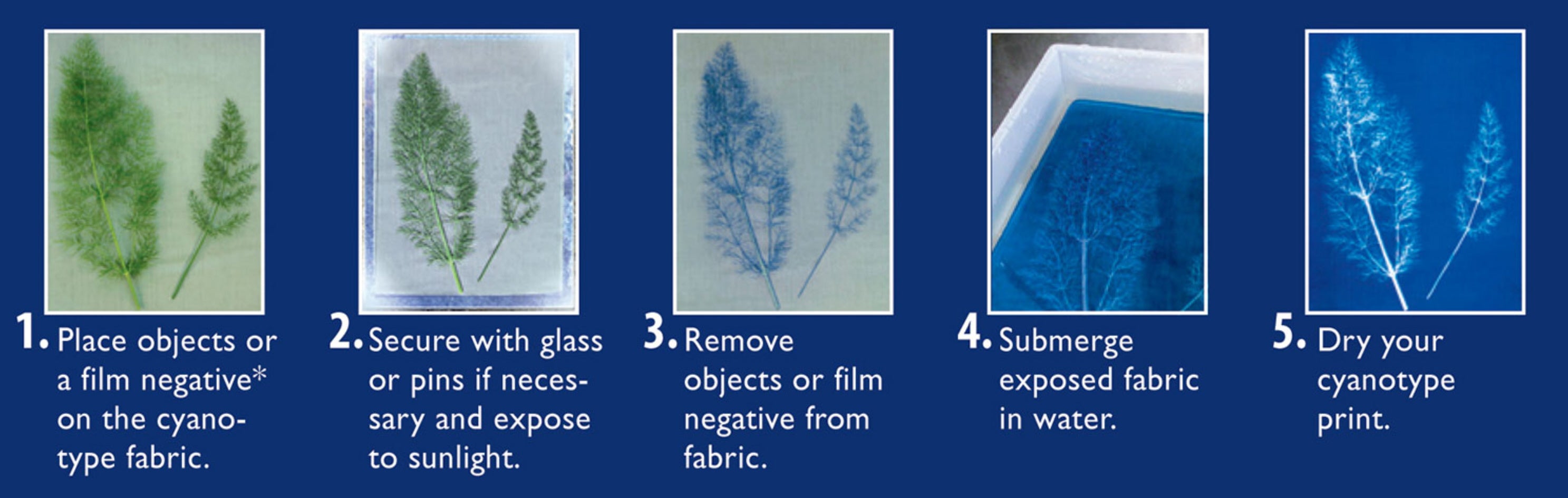 Cyanotype Blueprint Sensitizer Set 2 Komponenten