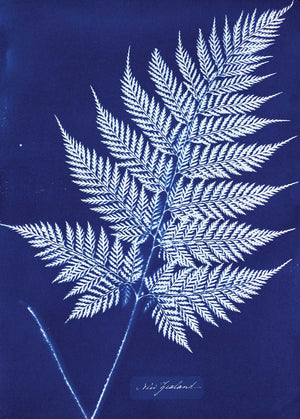 Cyanotype Blueprint Sensitizer Set 2 Komponenten
