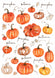 Reispapier Decoupage Wasserfarben Kürbisse A4 25-30 g/m² 1 Bogen