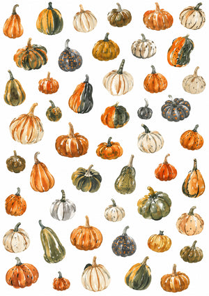 Reispapier Decoupage Aquarell Kürbis orange grün A4 25-30 g/m² 1 Bogen