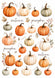 Reispapier Decoupage Watercolor Pumpkins A4 25-30 g/m² 1 Bogen
