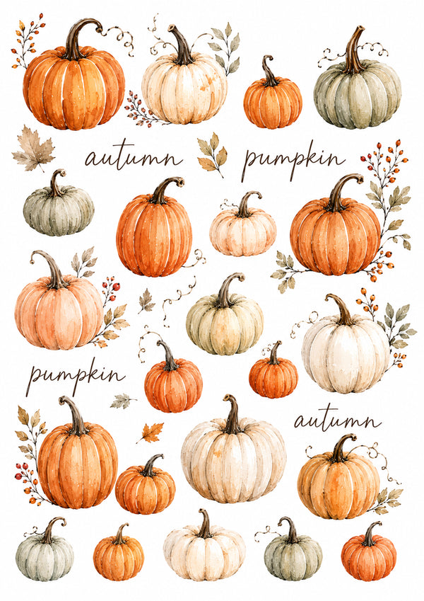 Reispapier Decoupage Watercolor Pumpkins A4 25-30 g/m² 1 Bogen