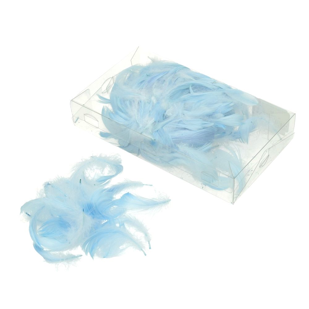 Deko-Federn Klarsichtbox ~ 90 mm 15g ~ 270 Stück