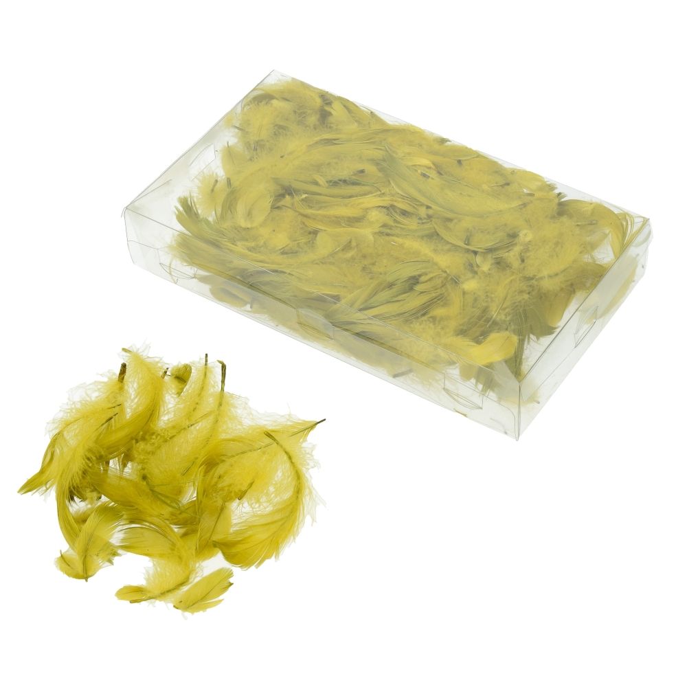 Deko-Federn Klarsichtbox ~ 90 mm 15g ~ 270 Stück