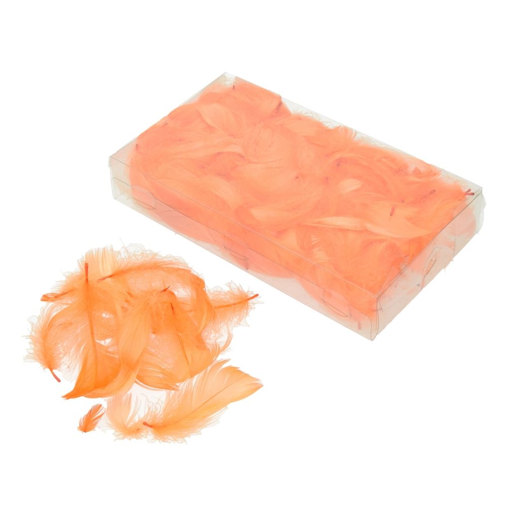 Deko-Federn Klarsichtbox ~ 90 mm 15g ~ 270 Stück