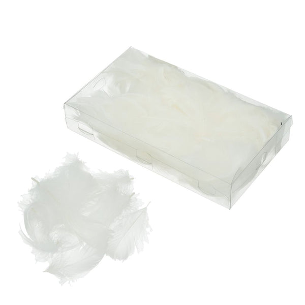 Deko-Federn Klarsichtbox ~ 90 mm 15g ~ 270 Stück