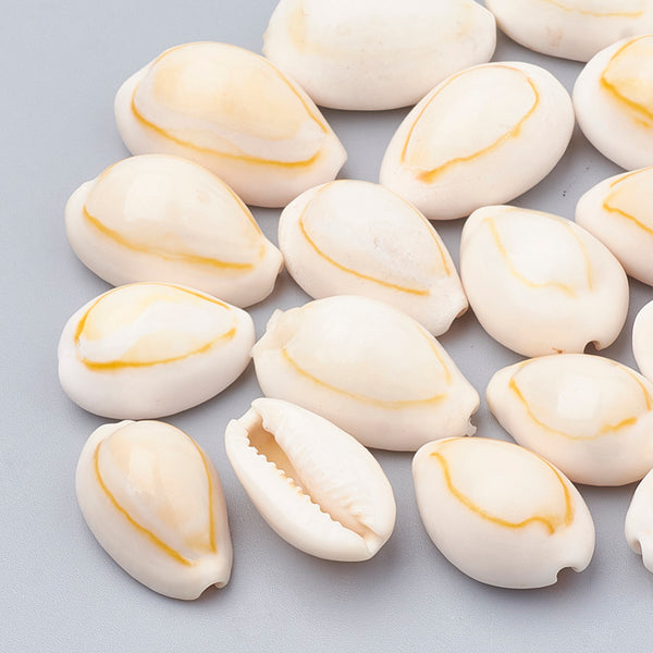 Cowrie Shell Kaurimuscheln 2cm creme 50 Stück