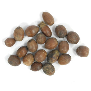 Eicheln braun natur 35g