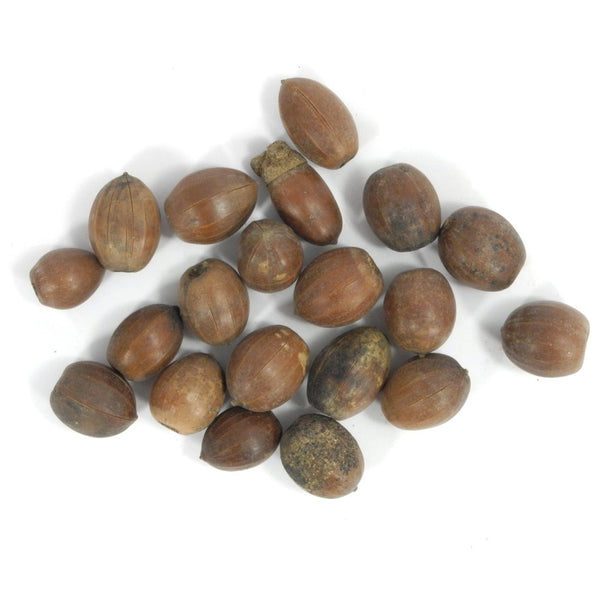 Eicheln braun natur 35g