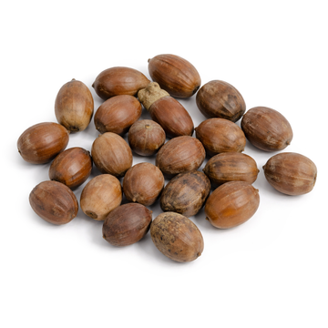Eicheln braun natur 35g