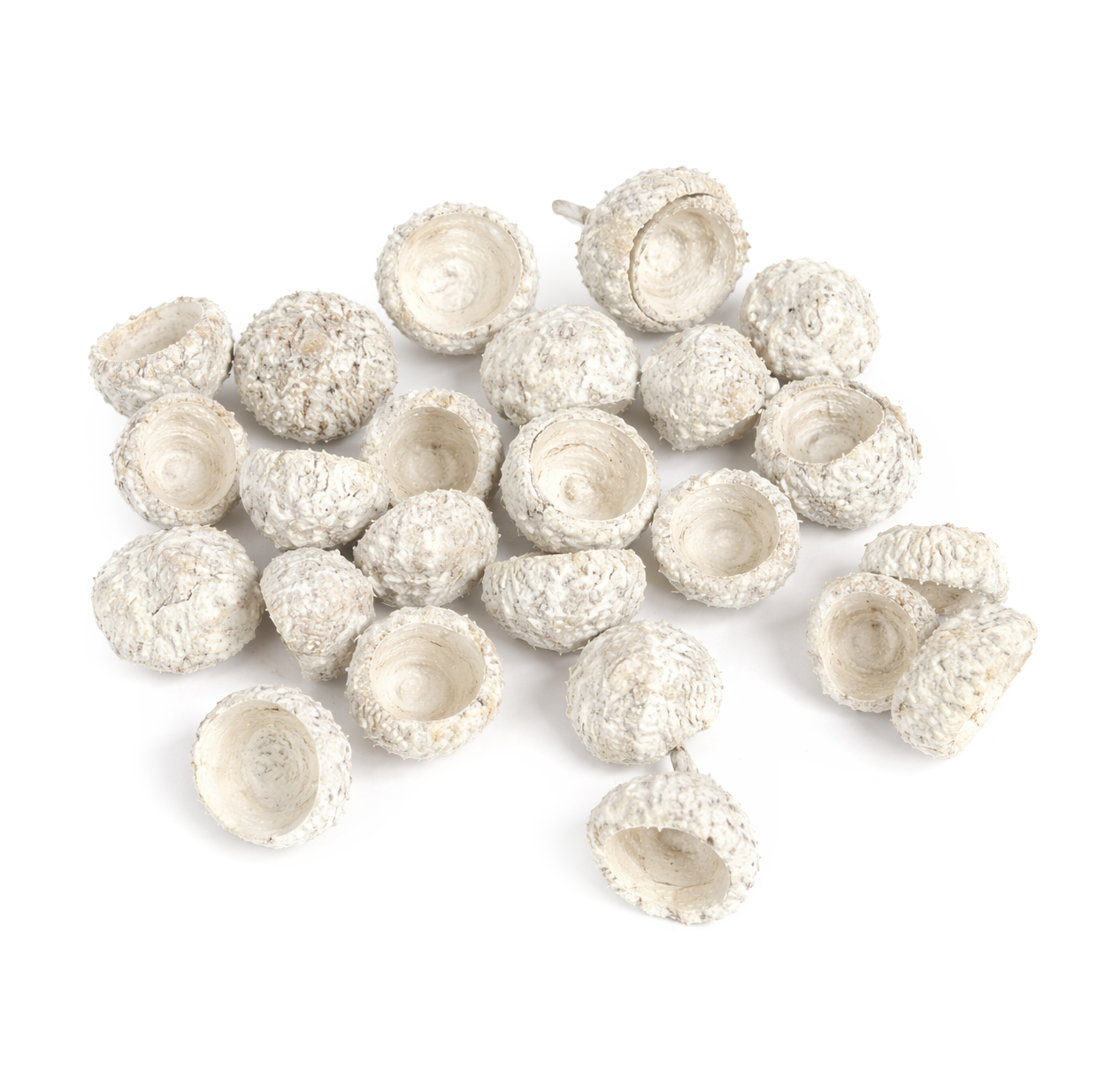 Eichelschalen weiß 20g