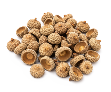 Eichelschalen natur 20g