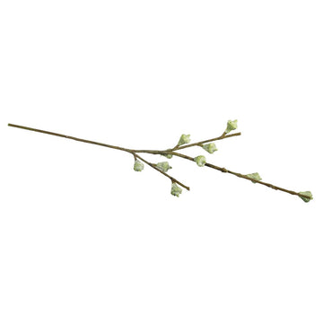 Eukalyptusfrüchtezweig,  40cm