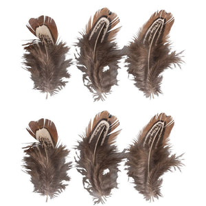 Federn 5-10cm SB-Btl 6 Stück