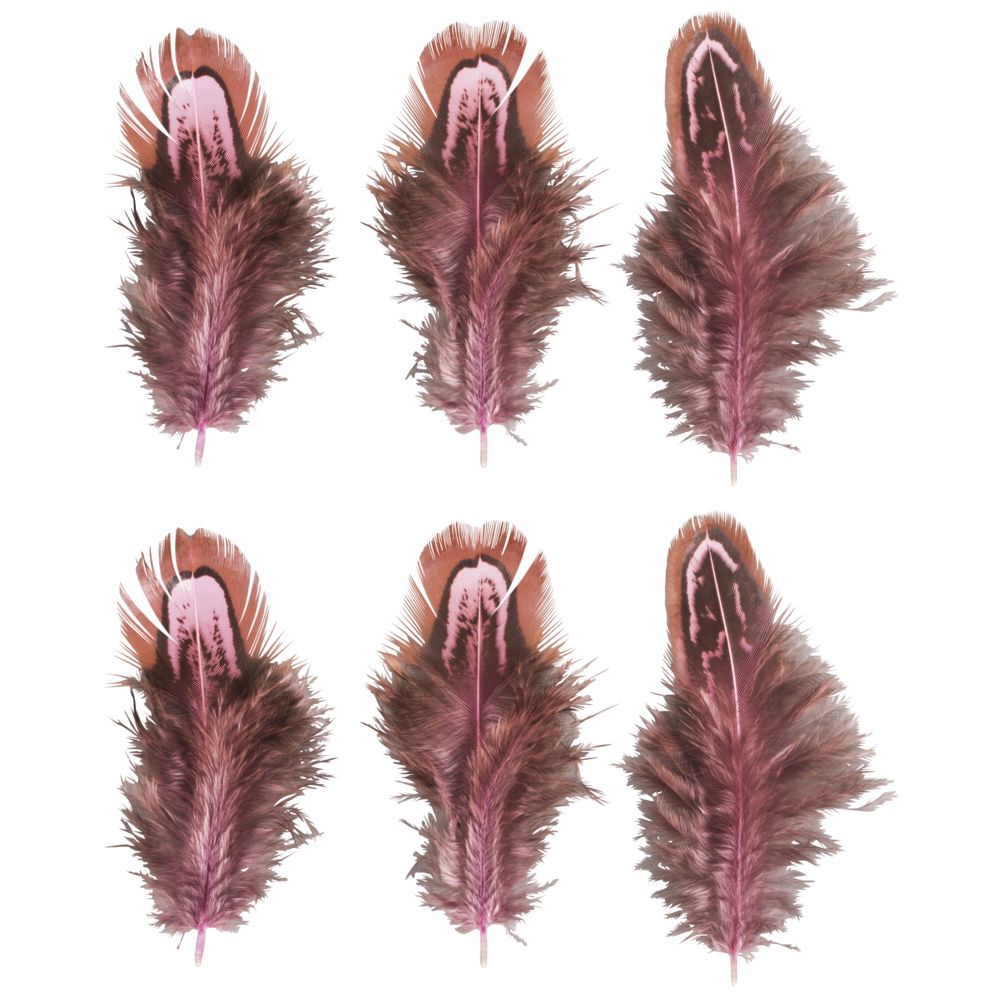 Federn 5-10cm SB-Btl 6 Stück