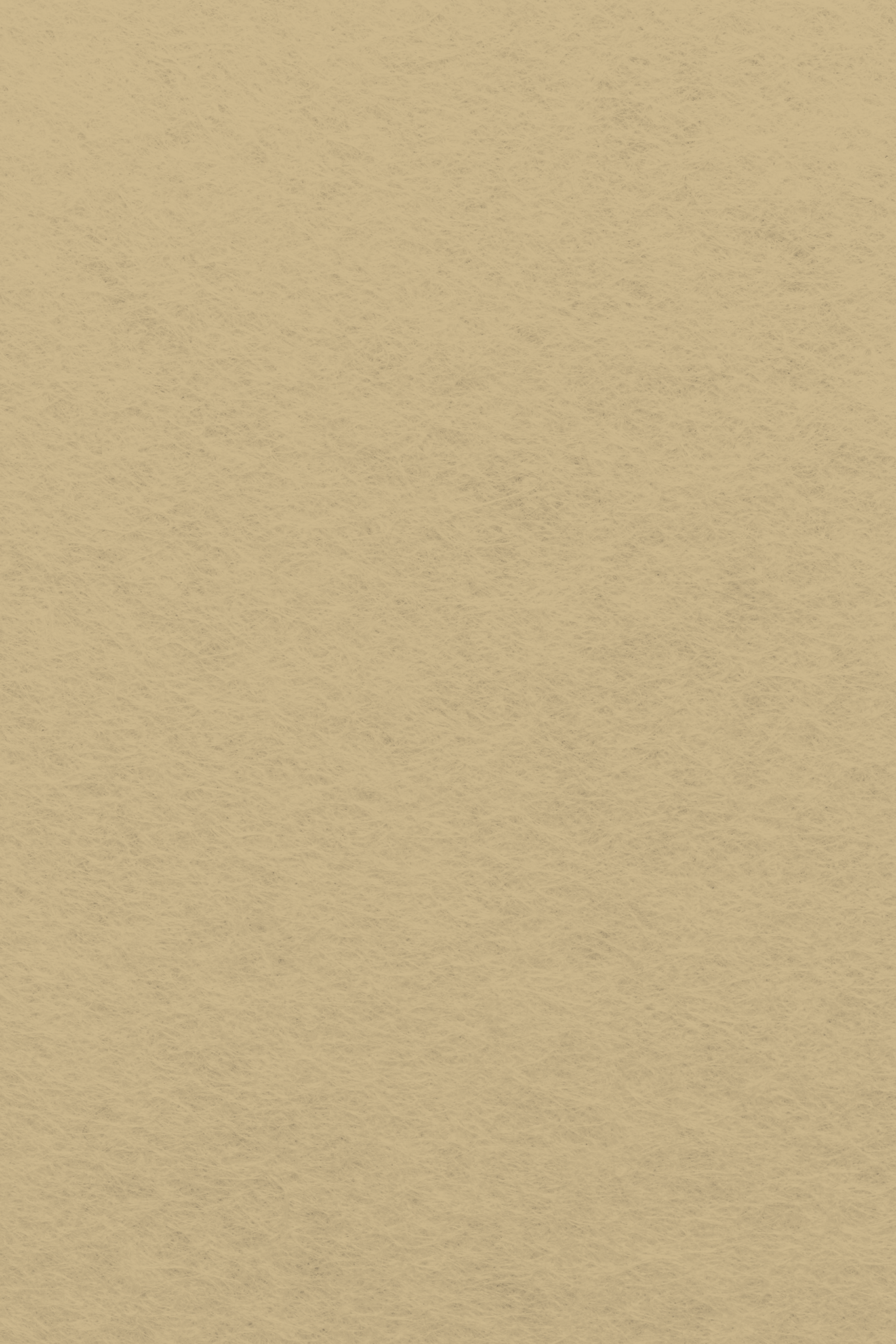 Bastelfilz Zuschnitt 1mm 20x30cm