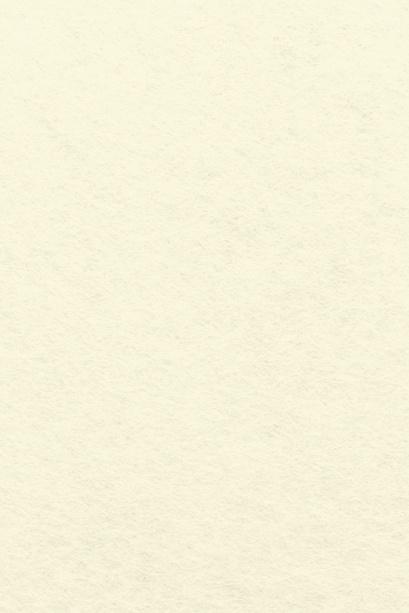 Bastelfilz Zuschnitt 1mm 20x30cm