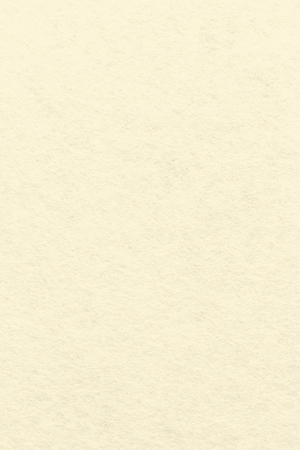 Bastelfilz Zuschnitt 1mm 20x30cm