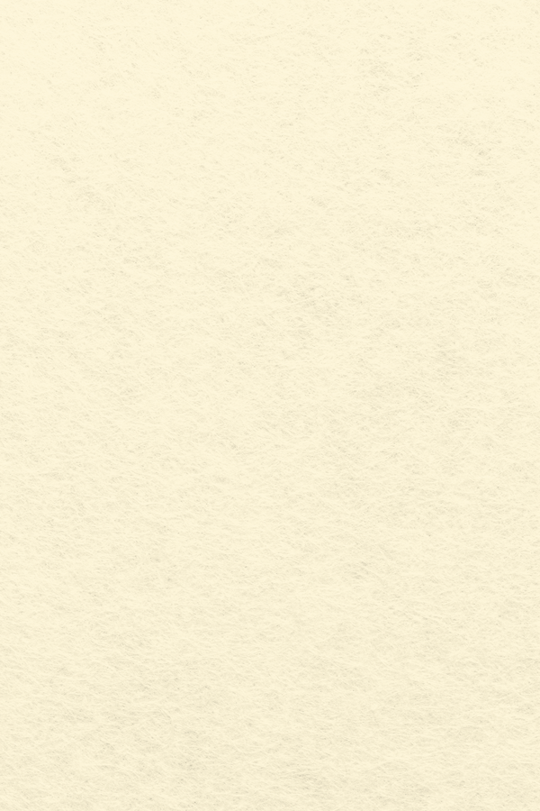 Bastelfilz Zuschnitt 1mm 20x30cm