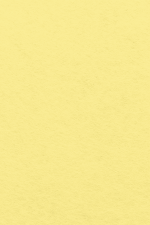 Bastelfilz Zuschnitt 1mm 20x30cm