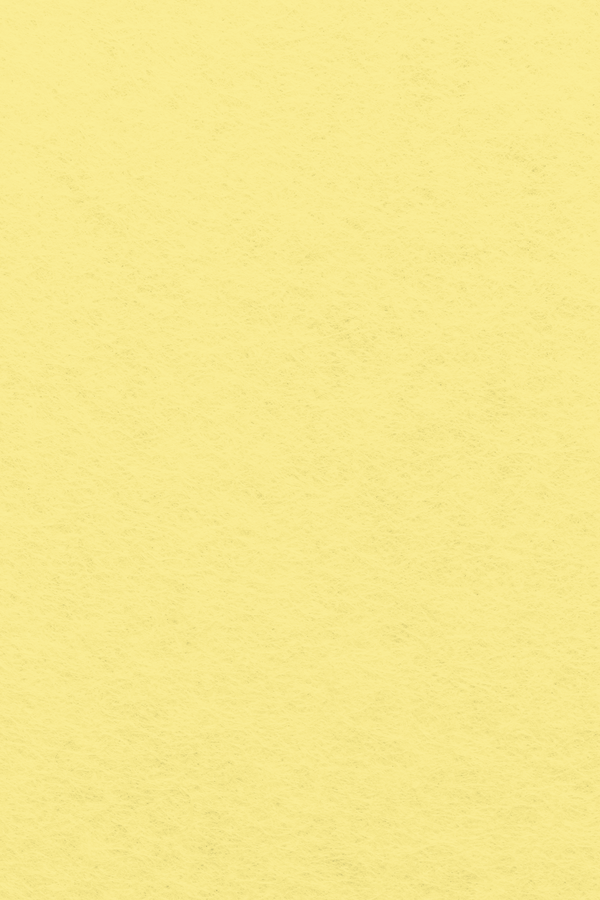 Bastelfilz Zuschnitt 1mm 20x30cm