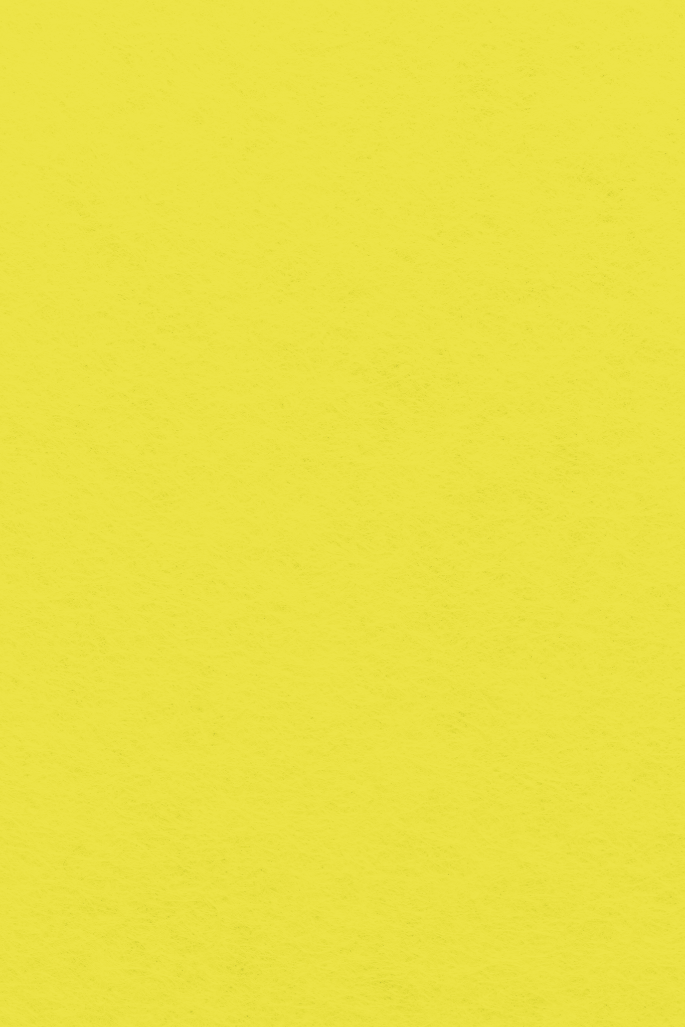 Bastelfilz Zuschnitt 1mm 20x30cm