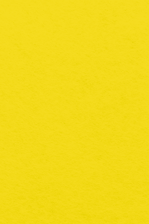 Bastelfilz Zuschnitt 1mm 20x30cm