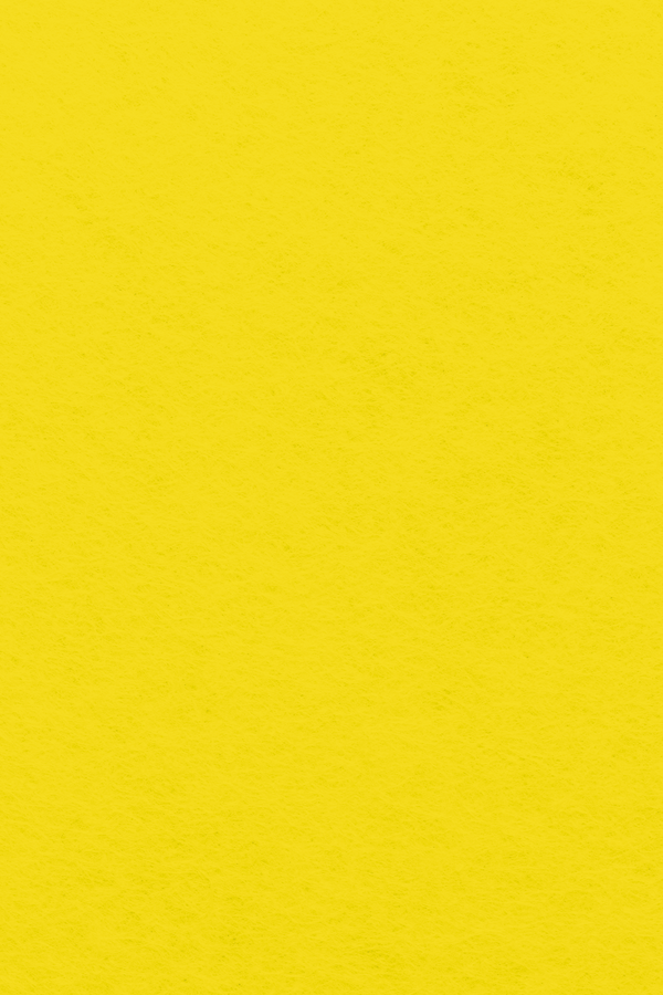 Bastelfilz Zuschnitt 1mm 20x30cm