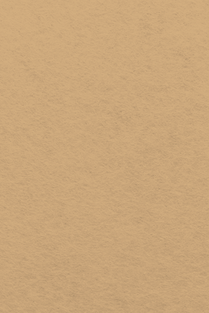 Bastel-Filzzuschnitt 20x30cm (A4) 1mm 1 Bogen