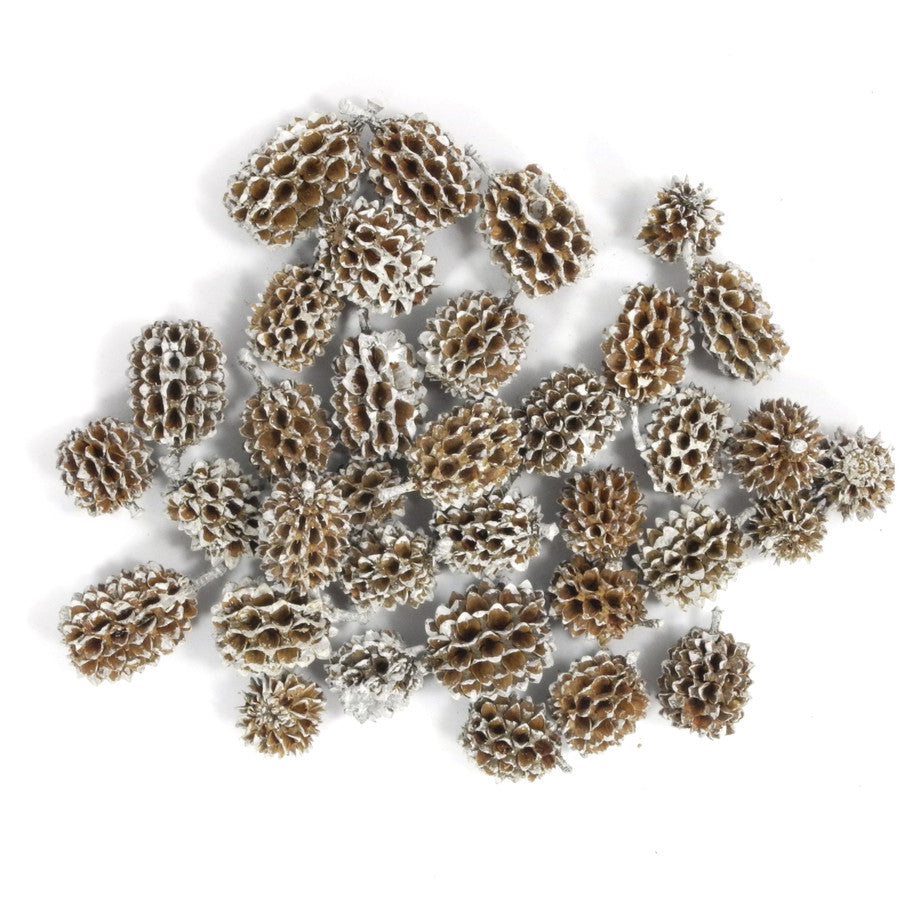 Früchte natur weiß 25g