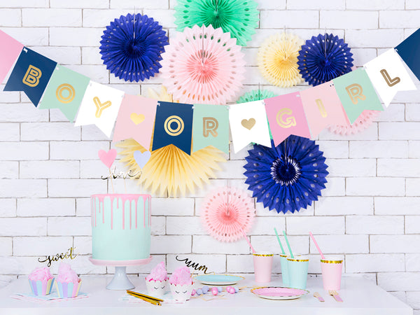 Boy or Girl Banner 14x175cm