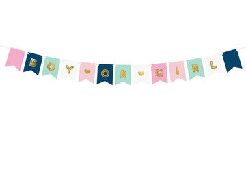 Boy or Girl Banner 14x175cm