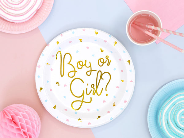 Gender Reveal Party Pappteller Ø23cm 6 Stück